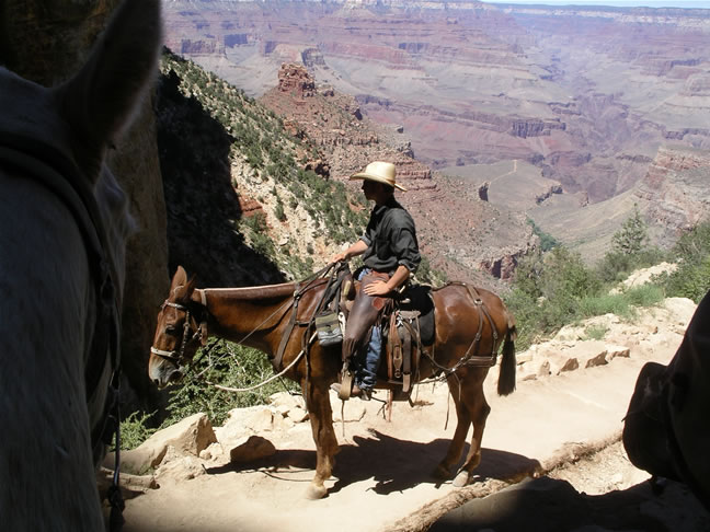 images/A-Mule Ride- returning to the Rim (36).jpg